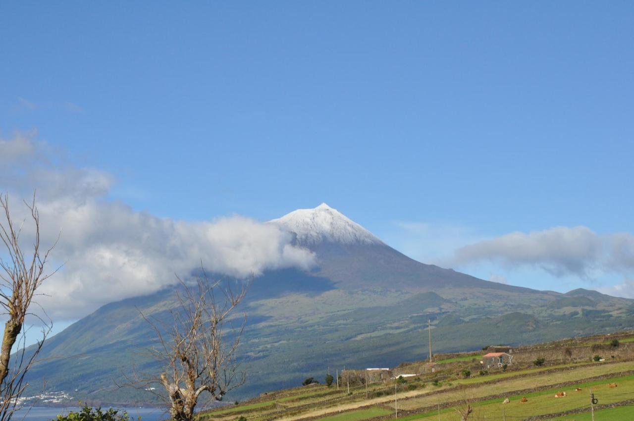 Vila Casa Da Abrotea Lajes do Pico Exteriér fotografie