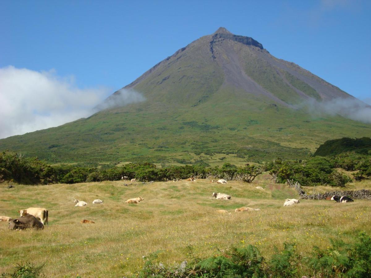 Vila Casa Da Abrotea Lajes do Pico Exteriér fotografie